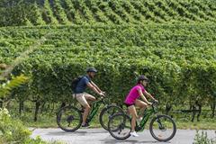 Foto per Tour guidato in e-bike attraverso i villaggi: Caldaro,Termeno,Egna... 2024
